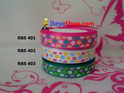 Pita RBS 401 403  large2